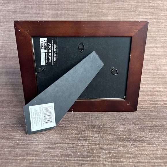 Diane Krumel “Turtle Hatching” Etch Art – Signed & Numbered 440/500 – Framed - Picture 5 of 5